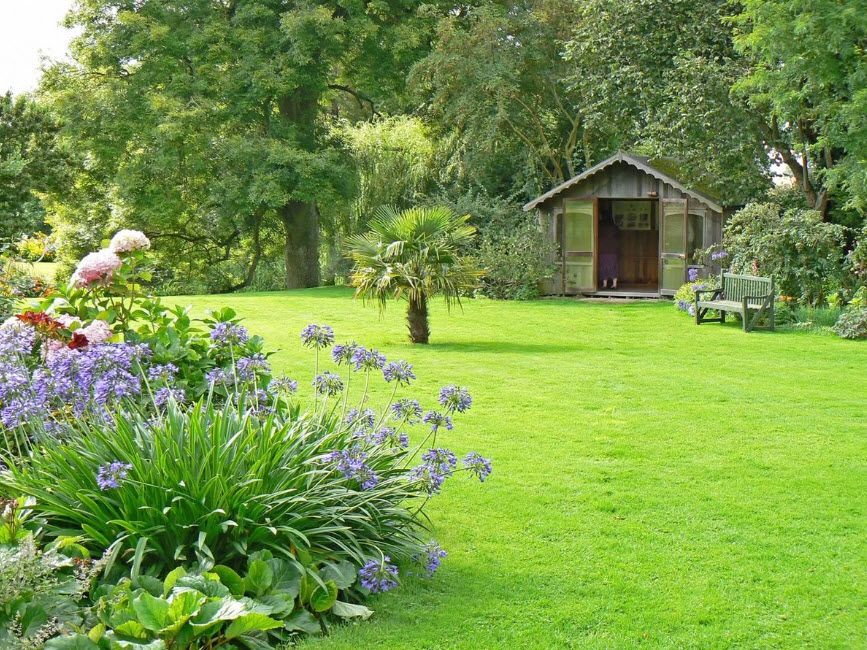 газоны.jpg газоны.jpg